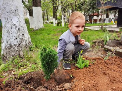 Цветна детска градина - ДГ 56 Здравец - София